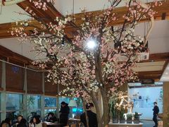 -蜜桃餐厅·伴山(湖滨商业街店)