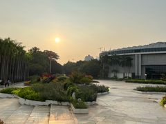 -深圳国际园林花卉博览园