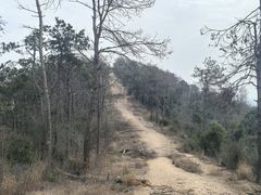 -青龙山国家森林公园