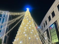 -杭州城中香格里拉大酒店