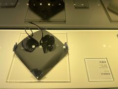 -BLACKSWAN黑天鹅(环球店)