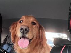 -宠福鑫康馨动物医院·骨科·眼科