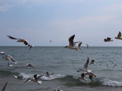 -海云台海滩