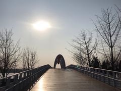 -大兴滨河森林公园