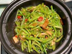 砂锅扁豆丝-四世同堂·京菜·烤鸭(双井店)