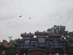 -荣国府