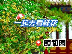 -颐和园