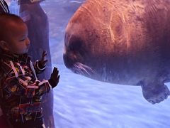 -上海海昌海洋公园-冰山北极馆