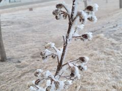 -北运河水利风景区
