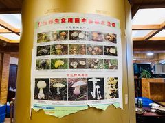 -东巴谷野生菌火锅餐厅