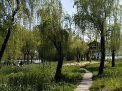 -渤公岛生态公园