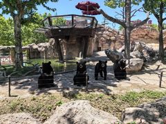 -上海野生动物园