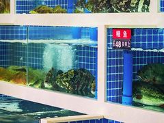 -渔家乐小海鲜(皇姑店)