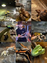 -Zoolung Zoolung动物主题公园(海信广场店)