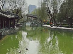 -团结湖公园