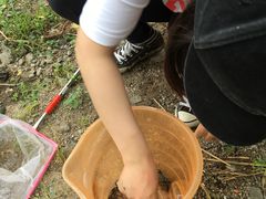 -吴淞炮台湾湿地森林公园烧烤区