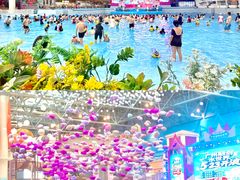 -广州融创水世界