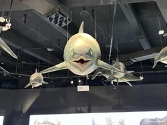 -重庆自然博物馆(新馆)