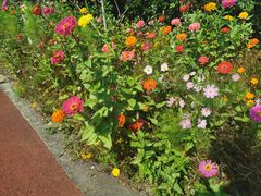 -上海长兴岛郊野公园