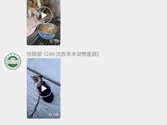 -派美特宠物医院·核磁CT·骨科肿瘤·疑难转诊(沈农禾丰店)