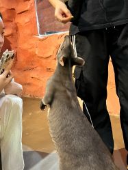 -Zoolung Zoolung动物主题公园(海信广场店)