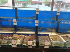 水产区-添福来墨鱼饺子 · 海鲜东北菜(泡崖店)