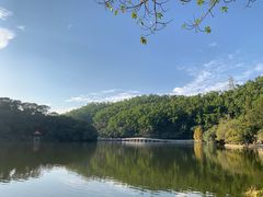-深圳仙湖植物园