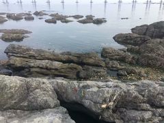 -黑石礁公园