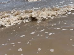 -南汇新城海滩
