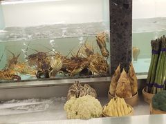 -甄御•海鲜新青岛菜(麦岛店)