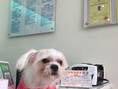 -爱诺耐芙动物医院(万博店)