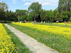 -北坞公园