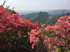 -木兰云雾山