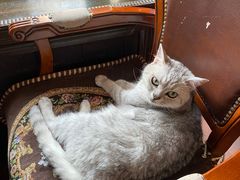-不舍昼夜咖啡馆