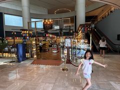 -新加坡瑞士史丹福酒店