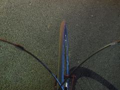 -深圳野生动物园