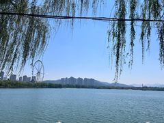 -济南国际园博园