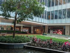 -香港大学