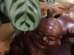 -七彩云南庆沣祥茶庄(金融街店)