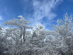 -湖州龙王山景区