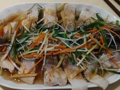 -天鹅到家·保姆月嫂育儿嫂(朝阳店)