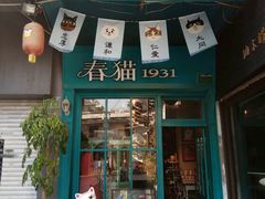 -猫咪博物馆(顶澳仔猫街店)