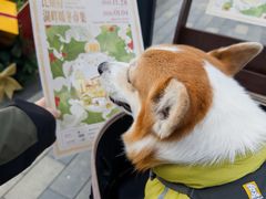 -比斯特上海购物村精品奥特莱斯