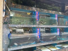 -浔味·山屿湖·正宗淳牌全鱼宴老字号