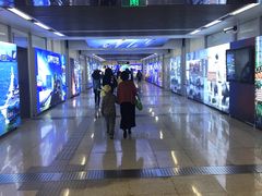 -岗子村(地铁站)