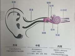 -宁耳听力助听器奥迪康·峰力·西门子(宝山店)