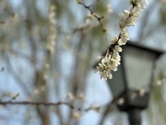 -三里河公园