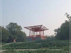 -大望京公园