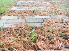 -苏体天云湖运动度假村