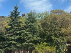 -狼山风景名胜区